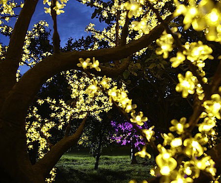 Q & A of the Day – We have a community decorative tree – should its lights be fed via RCD at 230V?