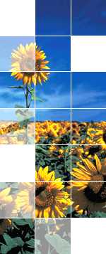 Schneider Electric exhibit at Low Carbon Innovation Forum