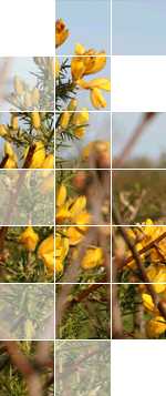 Smart networking and lighting systems from Schneider Electric lead the way at Cedia