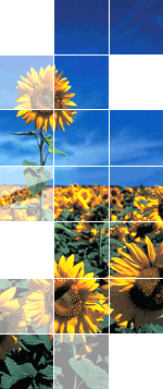 Schneider Electric awarded national Energy Efficiency Accreditation