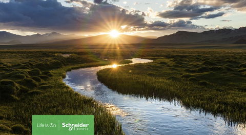 Business net zero plans blown off track by the energy crisis