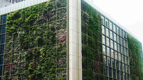 Strategise, digitise and decarbonise: how to slash building emissions