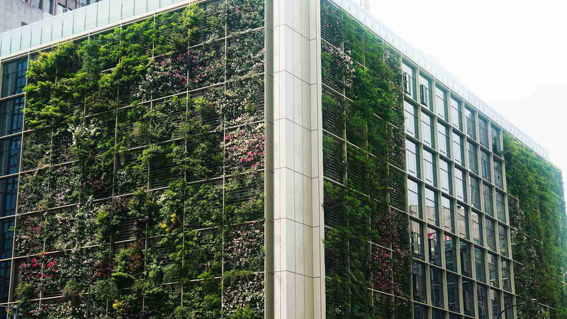 Strategise, digitise and decarbonise: how to slash building emissions