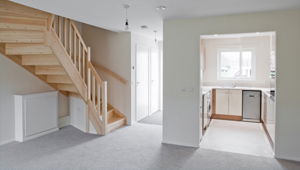 Pioneering eco houses with zero energy bills