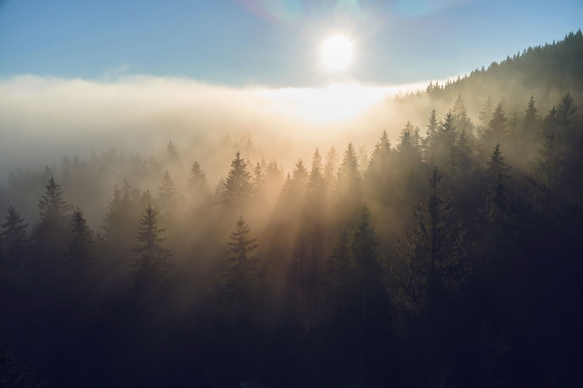 Signify delivers plan to reduce greenhouse gas emissions by 90% across its entire value chain and reach net-zero by 2040