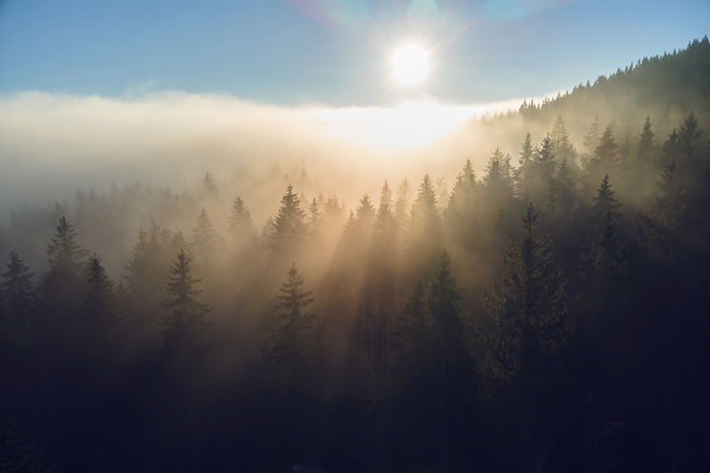Signify delivers plan to reduce greenhouse gas emissions by 90% across its entire value chain and reach net-zero by 2040