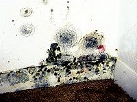 Voltimum – Introducing HVAC and the Indoor Air Quality Report