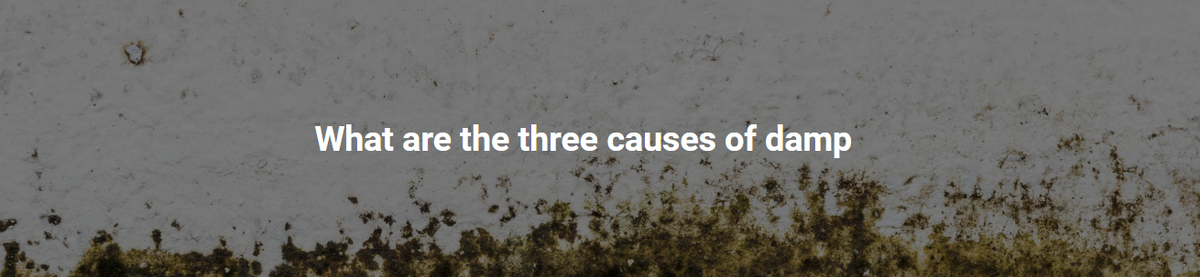 What are the three causes of damp