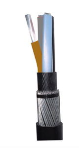 Q & A of the Day - SWA cable in flammable areas