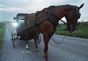 Amish buggies enter high-tech world with LED-powered lights