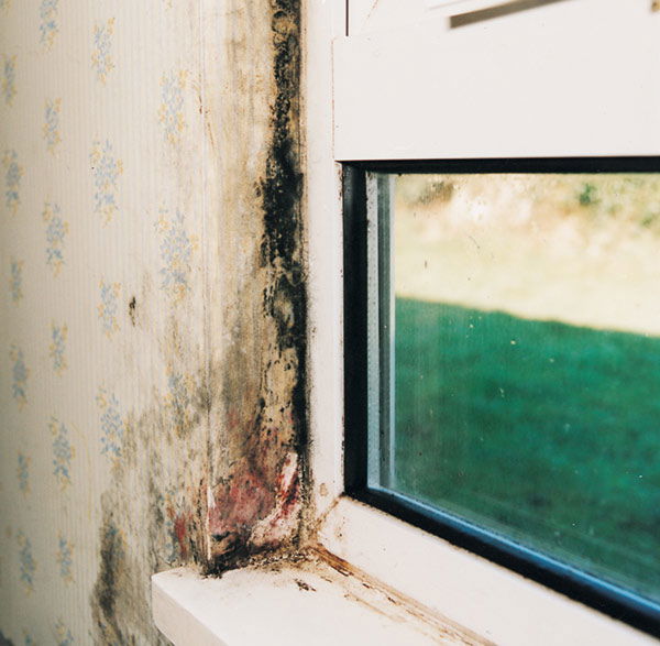 Now is the time for action on indoor air quality