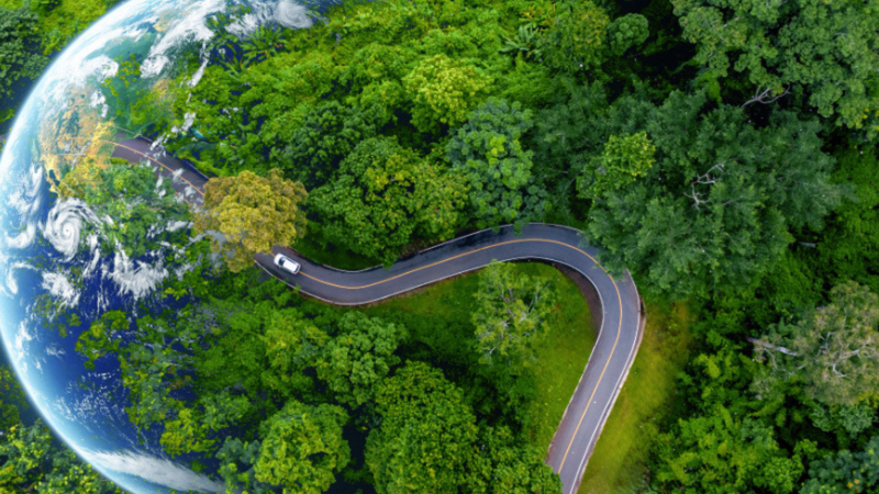 Signify, Pineapple Partnerships and Schneider Electric Launch Pineapple CoRE, a Collaboration to Accelerate Decarbonisation in Commercial Real Estate  