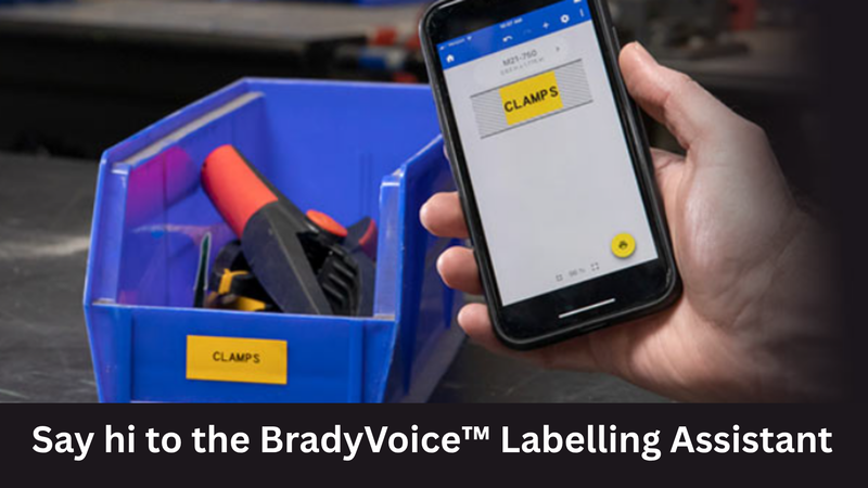 Hands-Free Labelling: Discover the Power of BradyVoice